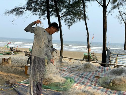 Một số ngư dân vẫn ra khơi nhưng thu nhập cũng sụt giảm mạnh