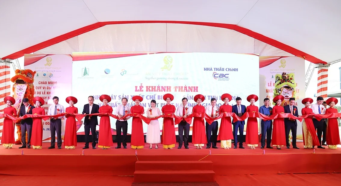 An Việt Phát Group: Hệ sinh thái nghìn tỷ của ‘nữ hoàng rơm rạ’ Bùi Thị Lan