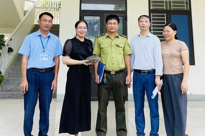 Hà Tĩnh: Phát hiện thêm cá thể rùa vàng quý hiếm ở trường học