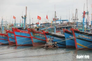 Đà Nẵng yêu cầu thuyền viên lên bờ trước 10h sáng mai - Ảnh: TRƯỜNG TRUNG