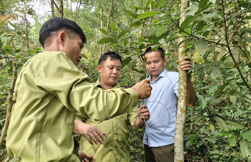 Hà Tĩnh: tăng cường kiểm soát, ngăn chặn bẫy thú rừng mùa mưa