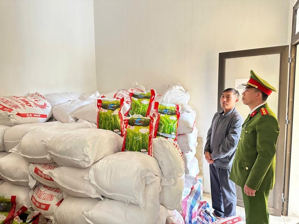 Triệt phá đường dây sản xuất gạo giả nhãn hiệu số lượng lớn tại Hà Tĩnh